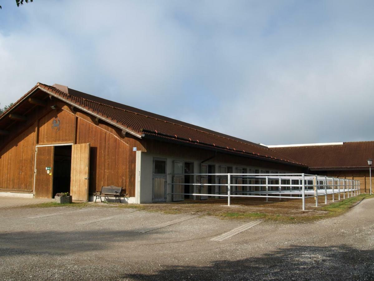 Ferienwohnung Pferdehof Pankratz Iffeldorf Esterno foto