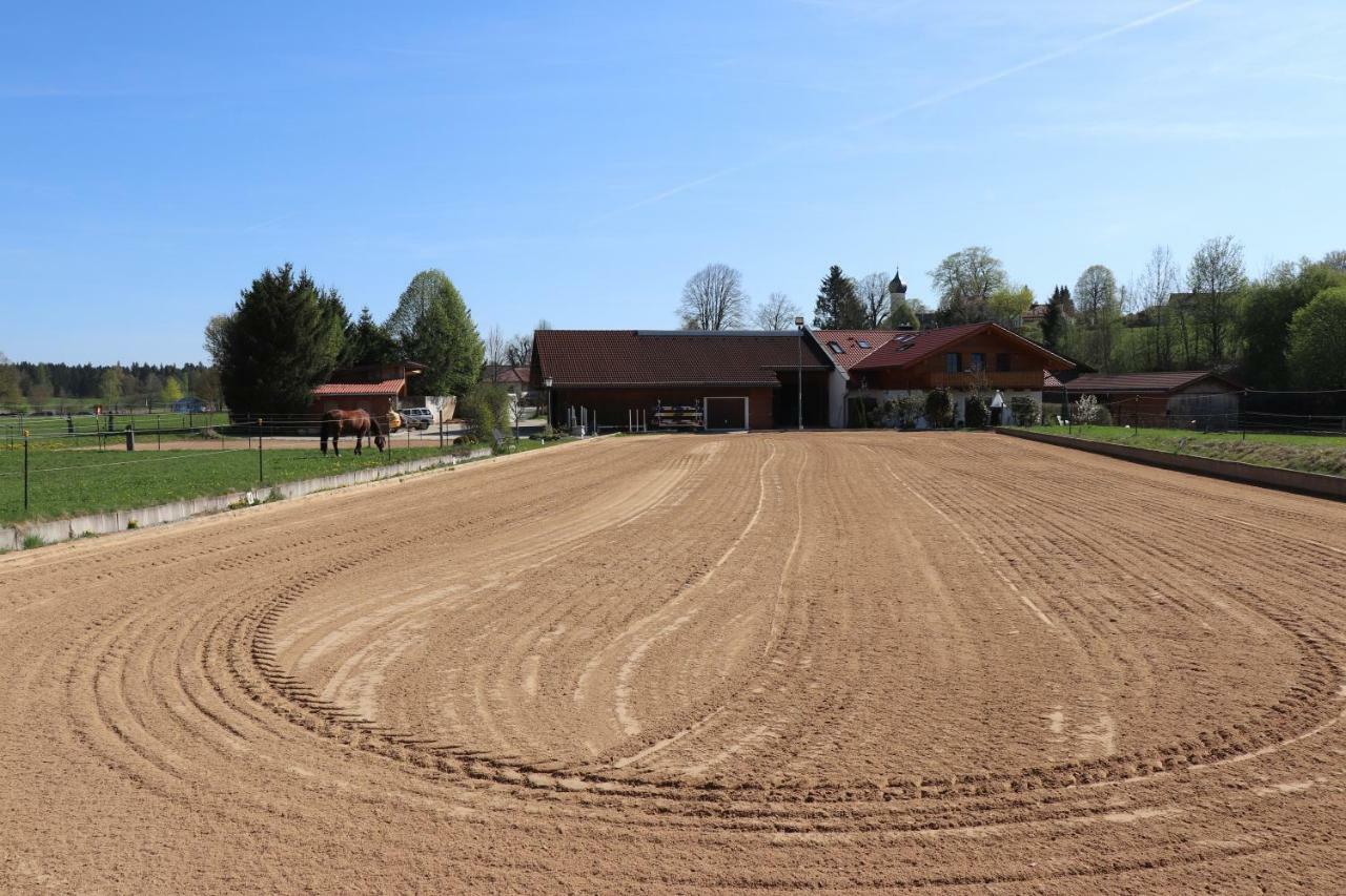 Ferienwohnung Pferdehof Pankratz Iffeldorf Esterno foto